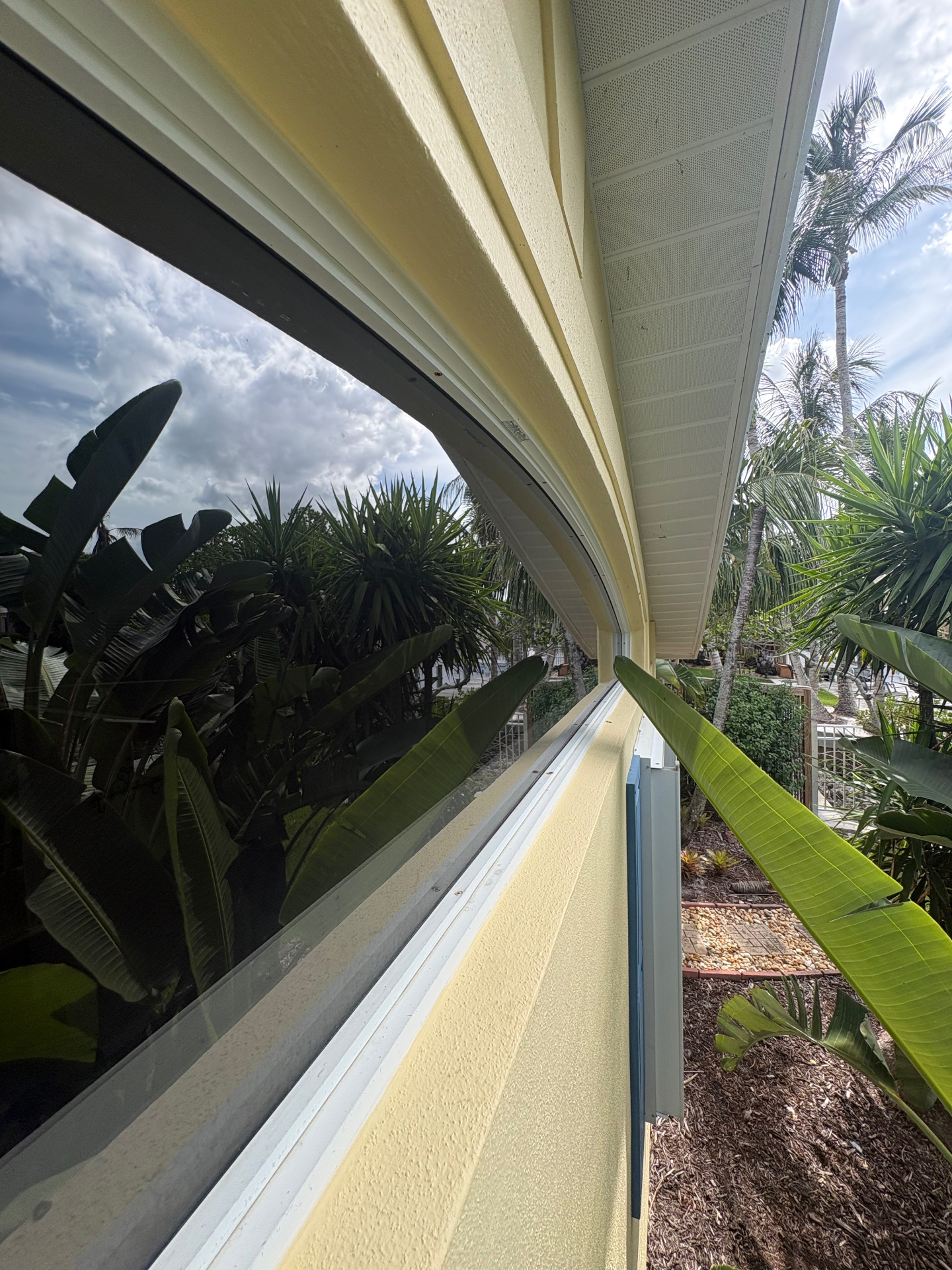 Clean curved window reflecting tropical landscaping in Port St. Lucie